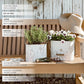 Rustic Cream Mushroom Embossed Metal Buckets, Set of Two