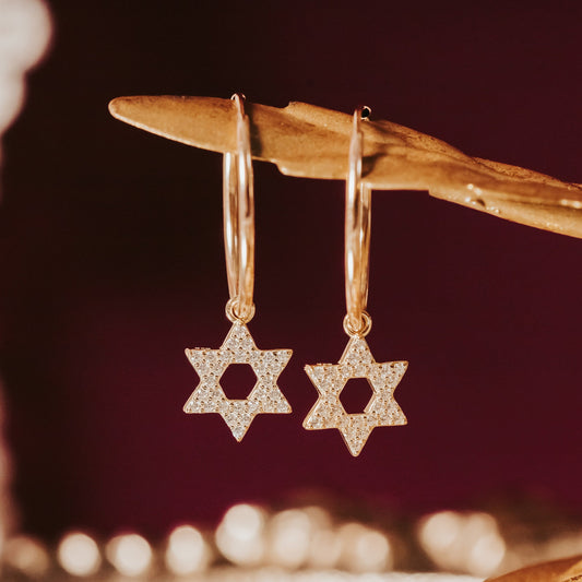STAR OF DAVID CRYSTAL HOOP EARRINGS