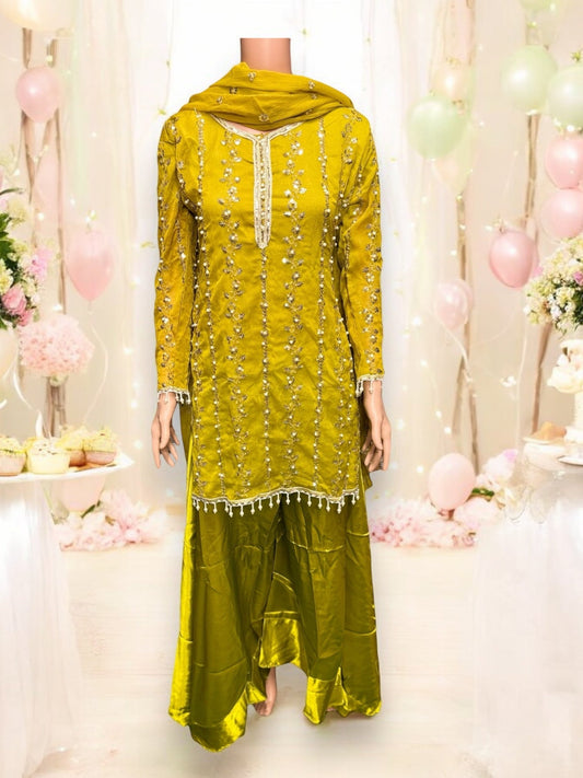 TRADITIONAL GREAT VALUE DESIGNER SALWAR KAMEEZ-ETHNIC WEAR FOR WOMEN - 203