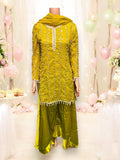 TRADITIONAL GREAT VALUE DESIGNER SALWAR KAMEEZ-ETHNIC WEAR FOR WOMEN - 203