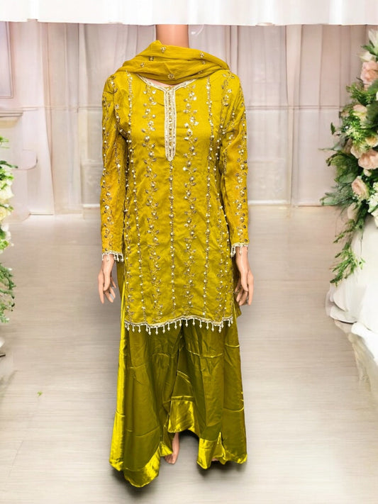 TRADITIONAL GREAT VALUE DESIGNER SALWAR KAMEEZ-ETHNIC WEAR FOR WOMEN - 203