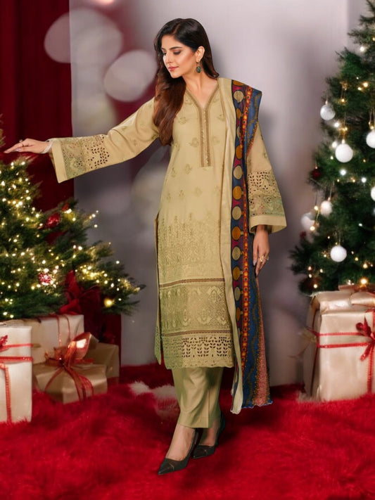TRADITIONAL PAKISTANI SALWAR KAMEEZ – ETHNIC WEAR FOR WOMEN-03