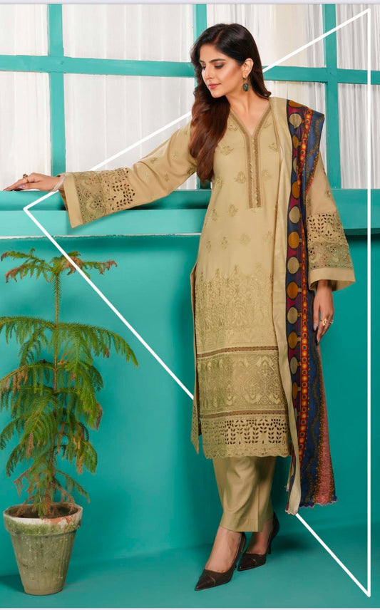 TRADITIONAL PAKISTANI SALWAR KAMEEZ – ETHNIC WEAR FOR WOMEN-03