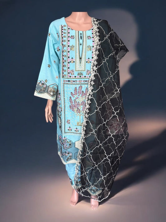 TRADITIONAL PAKISTANI SALWAR KAMEEZ – ETHNIC WEAR FOR WOMEN-283
