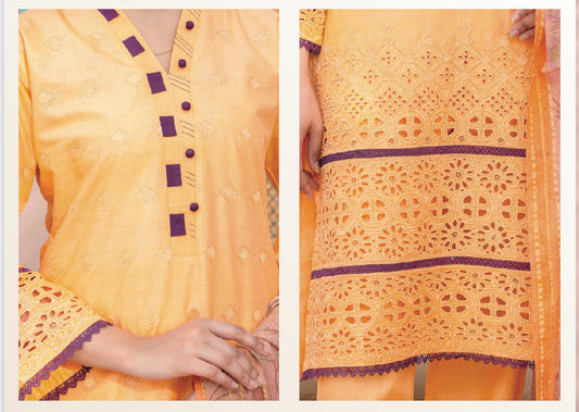TRADITIONAL PAKISTANI SALWAR KAMEEZ SET - ETHNIC WEAR FOR WOMEN- 2217