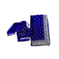 TRADITIONAL DESIGNER SAREE WITH READY BLOUSE– ETHNIC WEAR FOR WOMEN- 301