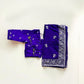 TRADITIONAL DESIGNER SAREE WITH READY BLOUSE– ETHNIC WEAR FOR WOMEN- 302
