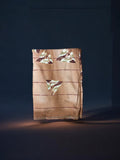 TRADITIONAL SAREE – ETHNIC WEAR FOR WOMEN- JU19