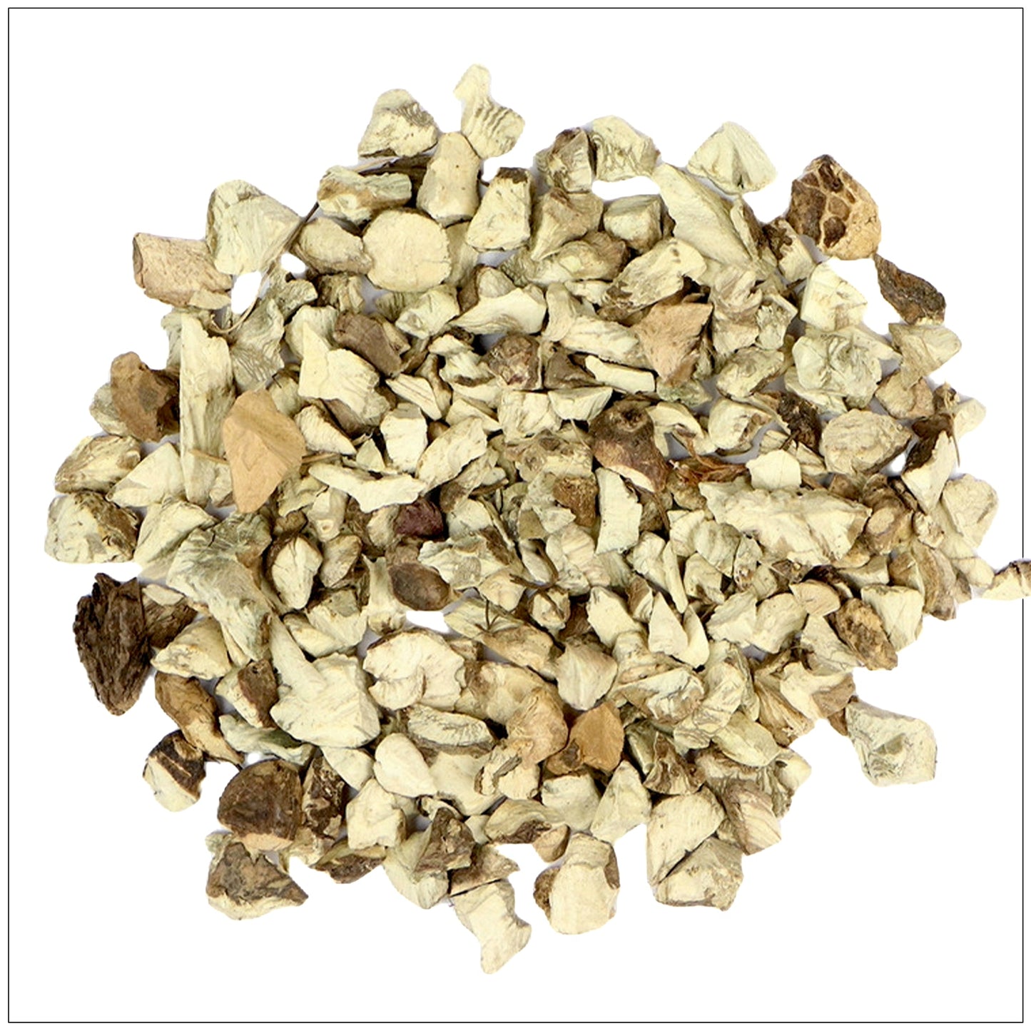 STONE ROOT