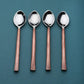 SUNDANCE COFFEE/DEMITASSE SPOON SET