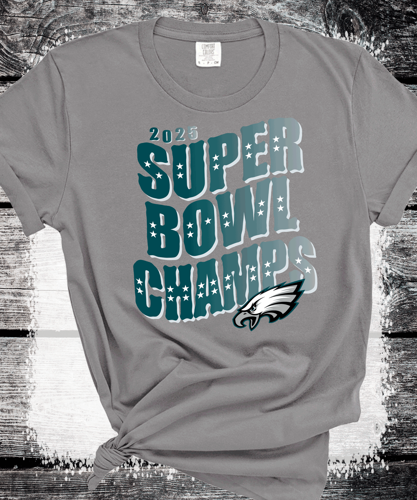 SUPER BOWL PHILADELPHIA FOOTBALL FLY EAGLES FLY SUPER BOWL CHAMPS TRENDING EAGLES FAN SHIRTS, FLY EAGLES FLY, EAGLES HOODIE, SUPERBOWL GIFTS