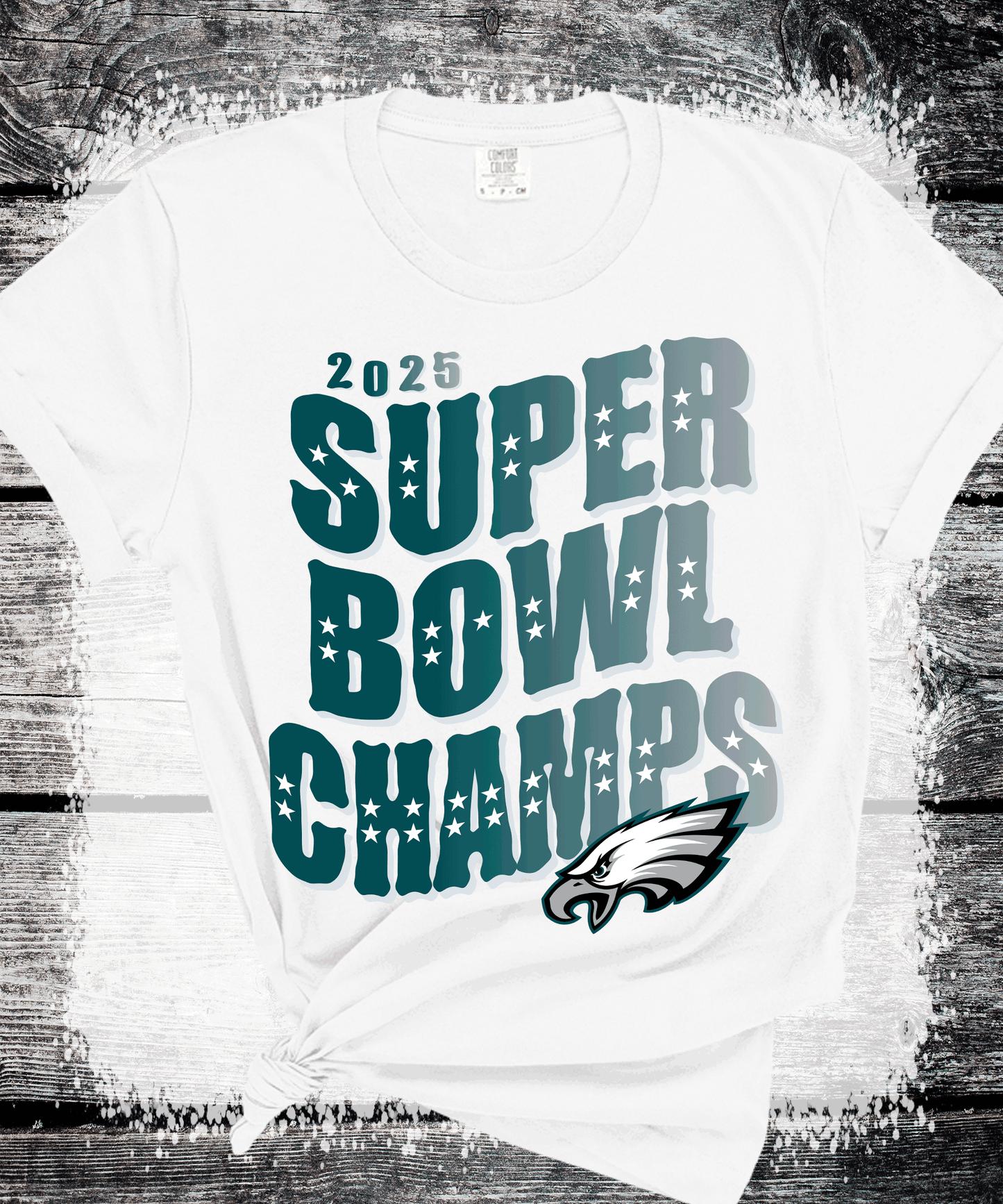 SUPER BOWL PHILADELPHIA FOOTBALL FLY EAGLES FLY SUPER BOWL CHAMPS TRENDING EAGLES FAN SHIRTS, FLY EAGLES FLY, EAGLES HOODIE, SUPERBOWL GIFTS