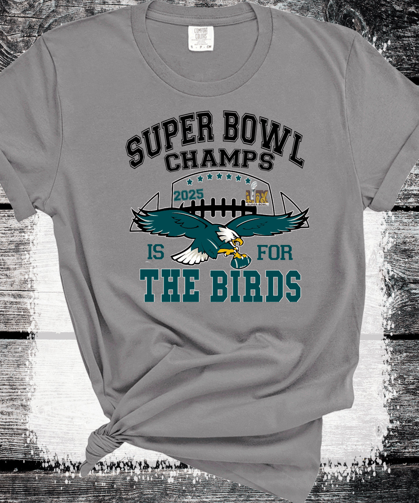 SUPER BOWL PHILADELPHIA FOOTBALL EAGLES SUPER BOWL CHAMPS TRENDING EAGLES FAN SHIRTS, FLY EAGLES FLY, EAGLES HOODIE, SUPERBOWL GIFTS