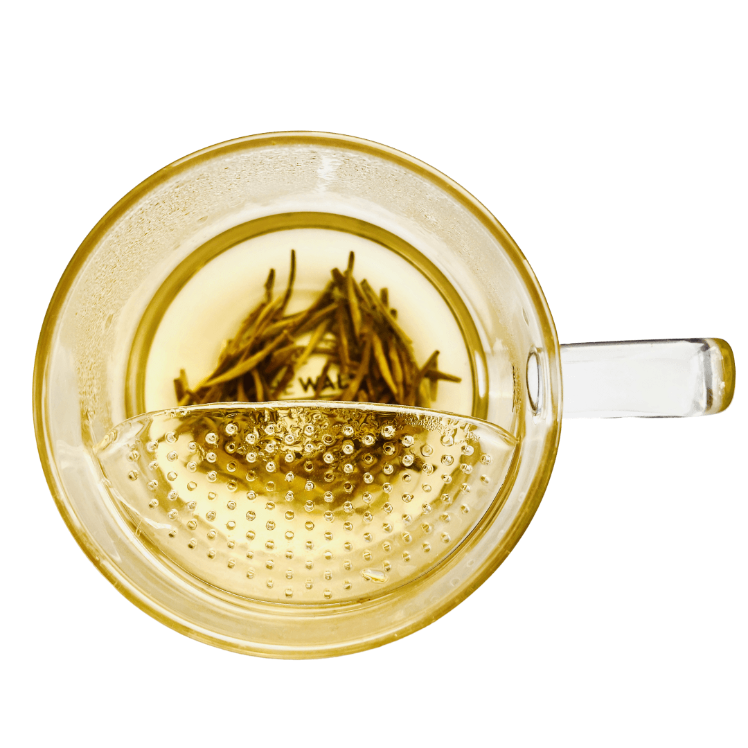 THE WALL® TEA INFUSER BUNDLE