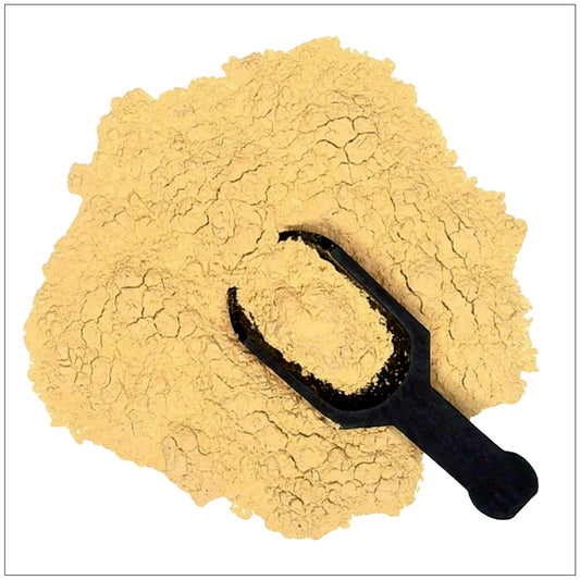 TONGKAT ALI EXTRACT POWDER